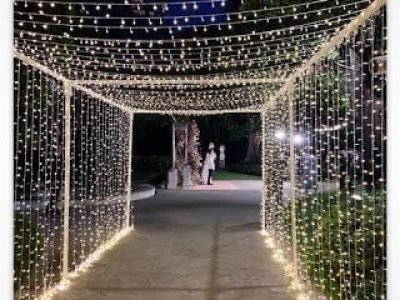 WhatsApp Image 2024-12-12 at 2.55.30 PM